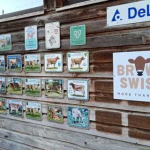 Hoftafel Branding Logo BS