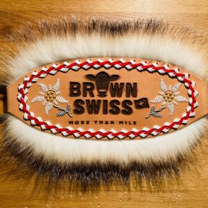 Nasenband Brown Swiss mit Halfter