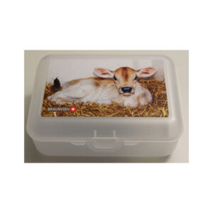 Lunchbox