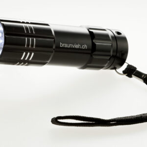 Taschenlampe LED